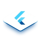 flutter image